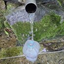 약진로변 이미지