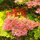 행정사사무소 세종 이미지