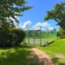 벌교숲공원 이미지