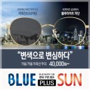 다비치안경대전