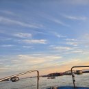 달빛좌대 | 24년 10월 첫째쭈, 달빛좌대 고도리와 쭈꾸미 낚시! 조황있습니다~ 가족과 낚시할만한 곳