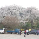 결성초등학교 이미지