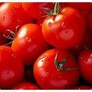 올웨이즈 휘트니스 안중점 이미지