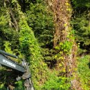 一峰(일봉) 이미지