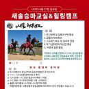 새솔 검도교실 | [아이와 주말에 뭐할까?]어린이승마체험 with 새솔승마교실 힐링캠프