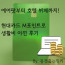 (주)뉴그린테크 | 에어팟부터 호텔 뷔페까지! 현대카드 M포인트로 생활비 아낀 후기