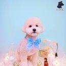 유폴 평택지제역점 이미지