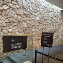 원주허브팜식물박물관 | 뮤지엄산 이배 전시 제임스터렐 안도타다오 건축 전시 관람 후기