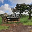 이시돌목장 이미지