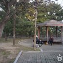 75 이미지