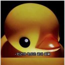 핑글 네이버블로그