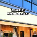 에스지라이팅
