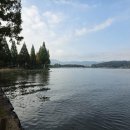 행정사신정호사무소 이미지