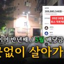배당주 이미지