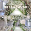 TOUR GOLFZONE 실내스크린 | 대구 밝은 웨딩홀 | 엘파소 하우스웨딩 그리너리 실내홀 27년 견적상담