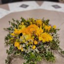 까멜리아 플라워 이미지