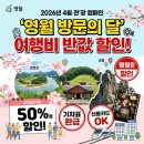 영주 인문학 | "신용카드도 OK"...왕사남 여행지 영월, 2026년 반값 혜택이 이 정도라니
