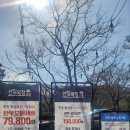 15번식당 이미지