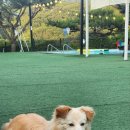 더히로 플레이그라운드 이미지