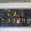 에이스 골프존 이미지