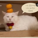 방학사진관
