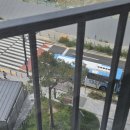 중앙동126 이미지