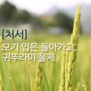 처서 이야기 이미지