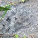 원수산 생태습지2 이미지