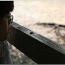 몬티첼로 이미지