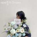 메이플라워대치