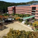 사하구-13 이미지