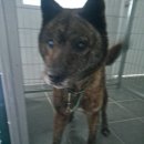 영암읍 복지회관 이미지