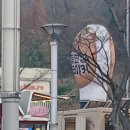 2021 K리그1 서울vs성남 | [K리그2 PO] 부천FC VS 성남FC (직관후기) 0:0(무) 승강PO 진출!