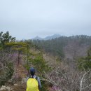 땅통종주＜3＞(땅끝3/월산마을~노룡재)46.5km.. 설렘 가득했던 땅끝길도 끝이보이고 이미지