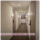 파루스셀라 성수 이미지