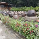 종가집 남도가든 이미지