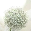 빵긋빵긋 이미지