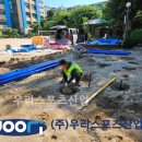 중흥초등학교 이미지