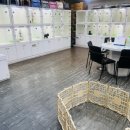 애견갤러리 강아지분양 애견샵 이미지