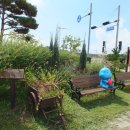 월미도해양관광(주) 뉴코스모스호 이미지