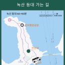 여수여객선터미널 이미지