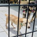 이호농장 이미지