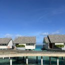 서울집 | [신혼여행]몰디브 아나네아 마디바루 2일차💙🇲🇻 프레임•플로레스•서울집 레스토랑후기