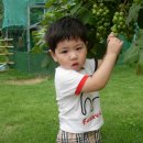 아인농장 이미지