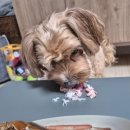 바다수산대게마트 이미지