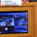 어도99 이미지