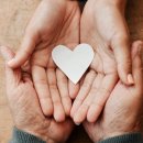 대건조이 이미지