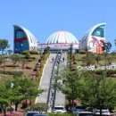 풍성한횟집 이미지