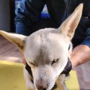 정선가축병원 이미지