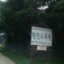 수목원펜션 이미지